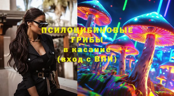 синтетический гашиш Богородицк