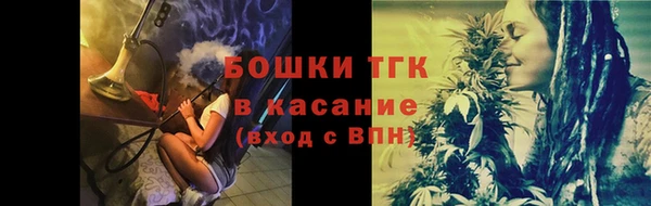 стаф Богородск