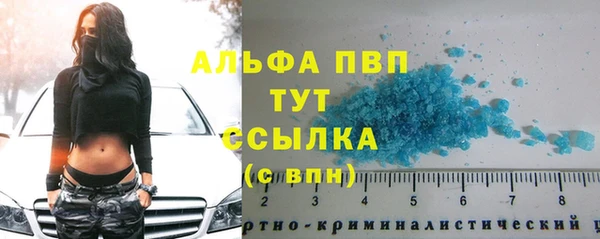 стаф Богородск