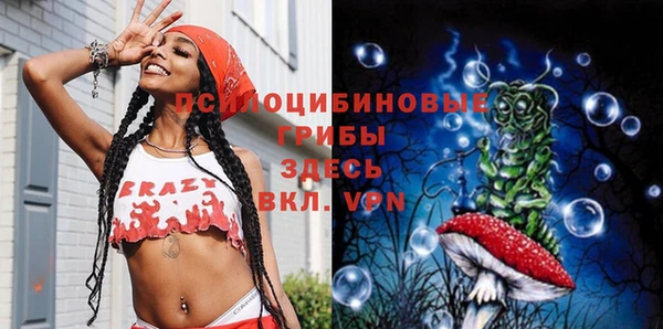 стаф Богородск