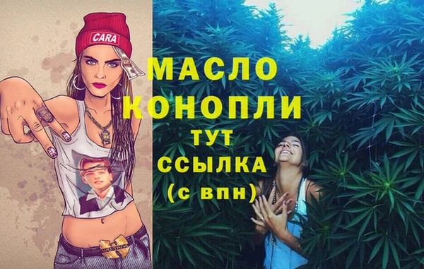 стаф Богородск