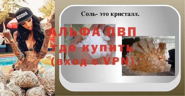 стаф Богородск