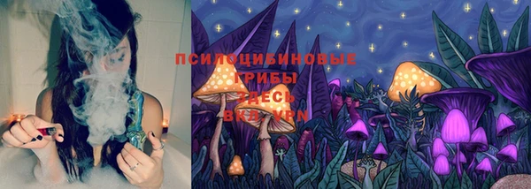 синтетический гашиш Богородицк