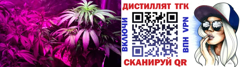 ТГК THC oil  маркетплейс Telegram  Чита  кракен онион 